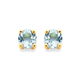9ct Aquamarine Stud Earrings