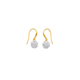 9ct Crystal Hook Earrings