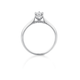 9ct White Gold Miracle Plate Setting Diamond Ring