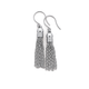 Stainless Steel Tassel Chain Drop Earrings